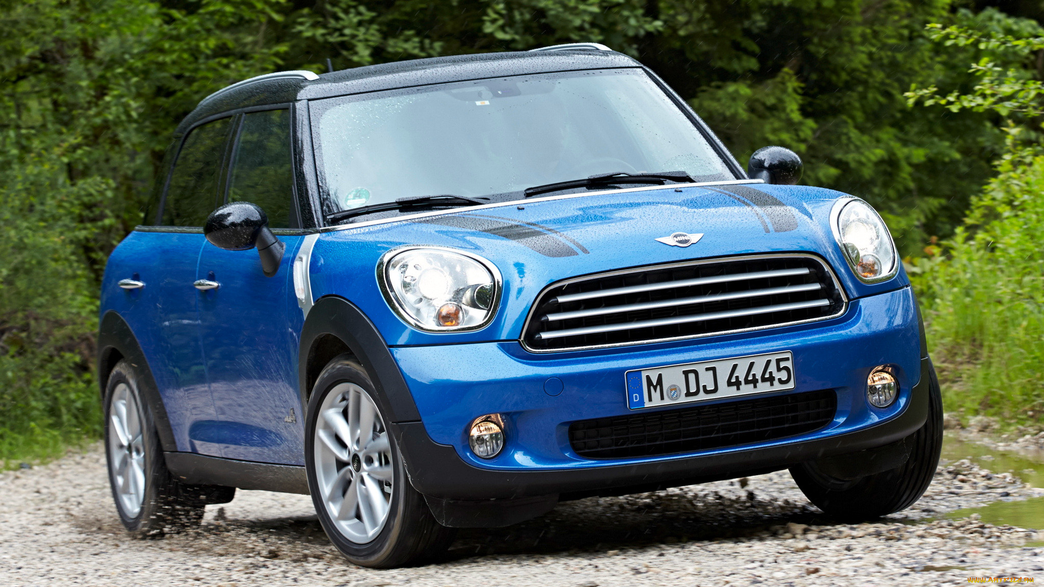 mini, countryman, , british, motor, corporation, 